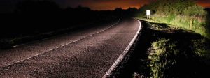A143 Norfolk Active Road Studs